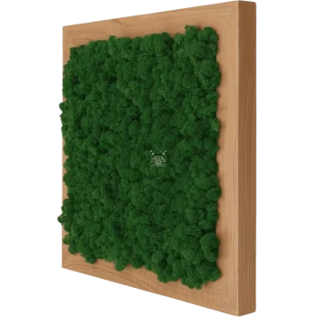 Moosbild Eiche PREMIUM mit Rentiermoos Forest Green