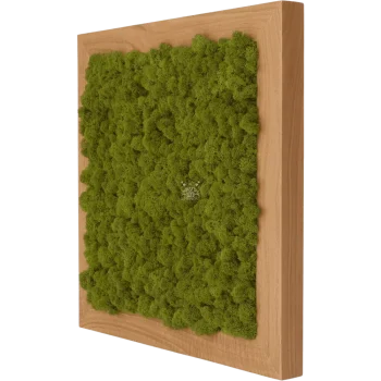 Moosbild Eiche PREMIUM mit Rentiermoos Mid Green