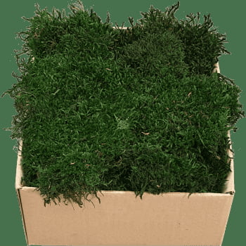 Flachmoos PREMIUM Naturgrün Karton