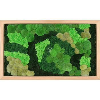Moosbild Eiche MIX001 PREMIUM mit Kugelmoos, Rentiermoos, Flachmoos