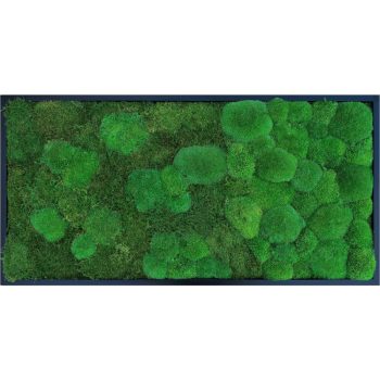 Moosbild Schwarz MIX006 PREMIUM mit Flachmoos, Kugelmoos