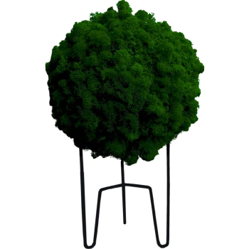 3D-Mooskugel PREMIUM mit Rentiermoos Waldgrün