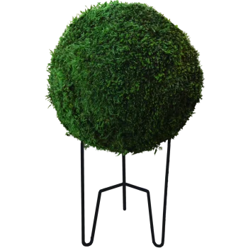 3D-Mooskugel PREMIUM mit Flachmoos Naturgrün Karton