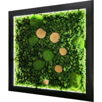 Moosbild LED Schwarz MIX017 PREMIUM mit Rentiermoos, Kugelmoos, Holzscheiben