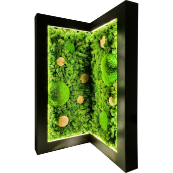 Eckmoosbild LED Schwarz MIX018 PREMIUM mit Rentiermoos, Kugelmoos, Holzscheiben