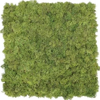 Federmoospaneel ECO Militärgrün