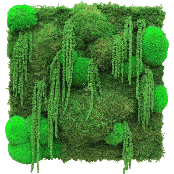 Moospaneel 3D PREMIUM mit Kugelmoos, Flachmoos, Amarant