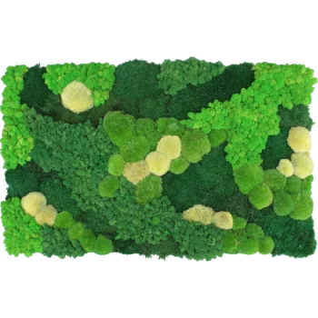 Moospaneel MIX002 PREMIUM mit Rentiermoos, Kugelmoos, Flachmoos