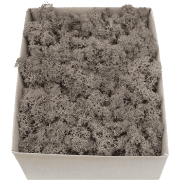 Rentiermoos STANDARD Graubraun Karton