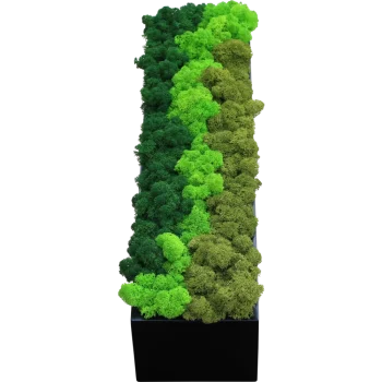 Moosdekogefäß Weiß PREMIUM mit Rentiermoos Apple Green, Mid Green, Forest Green