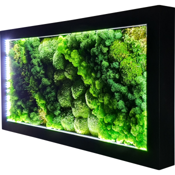 Moosbild LED Schwarz MIX012 PREMIUM mit Rentiermoos, Kugelmoos, Flachmoos, Farnmoos