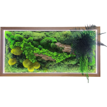 Moosbild LED Eiche MIX009 PREMIUM mit Rentiermoos, Kugelmoos, Flaschmoos, Pflanzen, Rinde