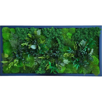 Moosbild Schwarz MIX004 PREMIUM mit Kugelmoos, Pflanzen, Rentiermoos, Flachmoos